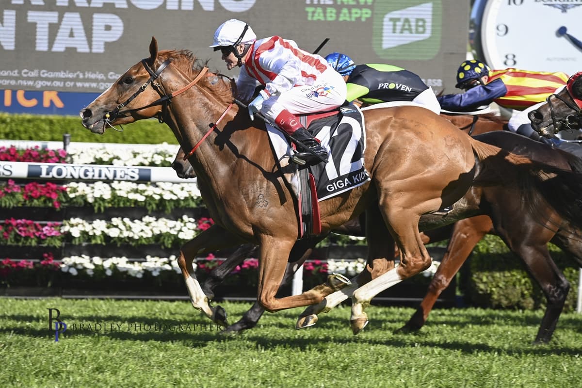 GIGA KICK a Great Advertisement for Line Breeding