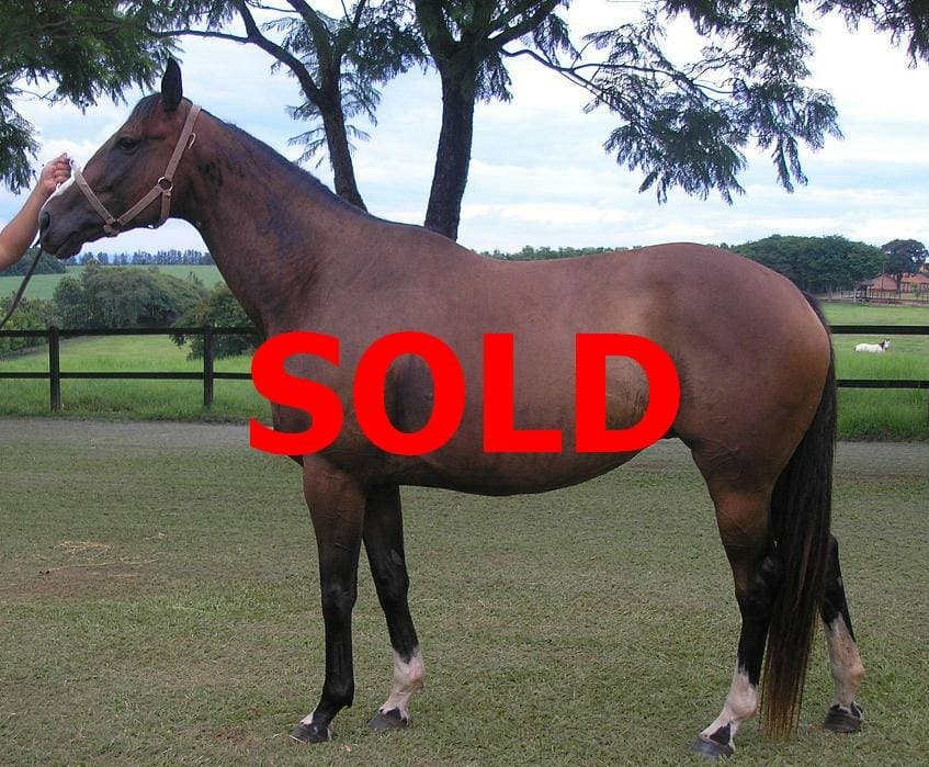 From our Sales Archives… LOVING NEW (Brz)