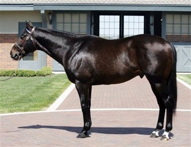 The Influence of HELEN STREET