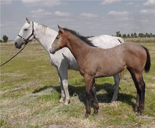 Young & Free with Villa Verde at foot