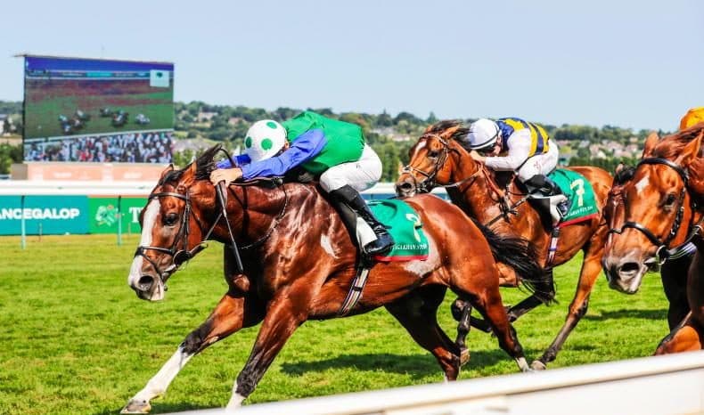 DIEGO VELAZQUEZ (Ire)